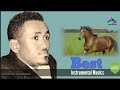Best Top 10 | Oromo Instrumental | Music 2021