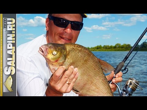 видео где искать леща видео где искать леща