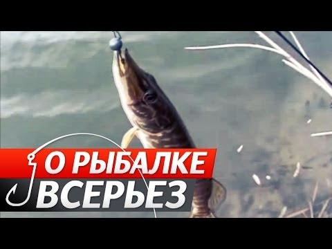 о рыбалке всерьез все выпуски видео 2016 о рыбалке всерьез все выпуски видео 2016