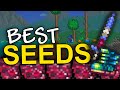 The BEST Terraria seeds (1.4.4.9)