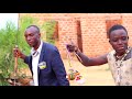 Gumha_Shagembe_Ihamba_Kwa_Ng'obho_(Unofficial_Music_Video)_Directed_By_Mjomba_Jr