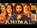 Animal Full movie | Ranbir Kapoor | Rasmika Mandana | Bobby Deol | HD Photos & Thumbnail Of Diginet