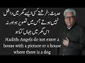 HADITH: ANGELS DO NOT ENTER A HOUSE WITH A PICTURE OR A HOUSE WHERE THERE IS A DOG | JAVED GHAMIDI