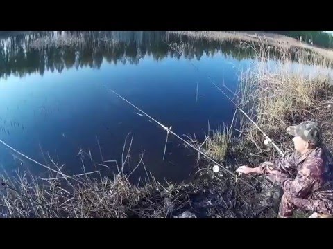 река пахра рыбалка карп река пахра рыбалка карп
