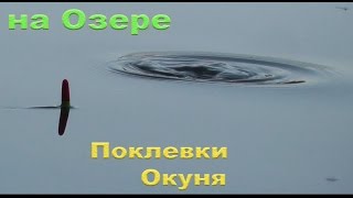 ловля на веки окуня ловля на веки окуня