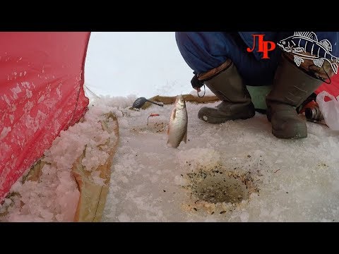 Как ловить плотву ютуб Как ловить плотву ютуб
