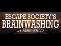 Alan Watts ~ Are You Tired Of Playing The Social Game