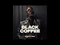 Black Coffe ft Buice - Turn Me On (Kwano SA Remix)