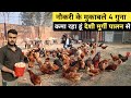 23 साल के युवा का Desi Poultry Farm | Desi Poultry Farming In India