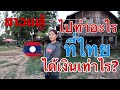 ສາວແຫຼ້ สาวลาวไปทำอะไรที่ประเทศไทยและได้เงินเท่าไร? A Lao girl went to Thailand