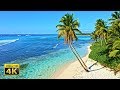 4K Video (Ultra HD) Unbelievable Beauty