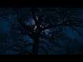 Fall Asleep to the Relaxing Sounds of Wind in the Trees For Sleep, Insomnia, Tinnitus