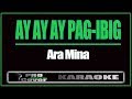 Ay Ay Ay Pag-ibig - ARA MINA (KARAOKE)