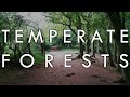 The Temperate Forest Biome - Biomes#6