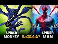 Spider Monkey VS Spider-Man epic battle 🤯 // BEN 10 // Ben 10 Telugu