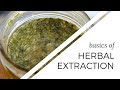 Basics of Herbal Extraction | Beginner Herbalism