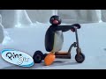 Pingu and the New Scooter!   Pingu Official   1 Hour   Cartoons for Kids