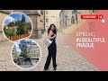 PRAGUE | Must visit European city | Travel vlog