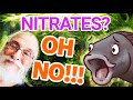 Dangers of Nitrates and Nitrites in your Aquarium! | Will it Make My Fish Sick?