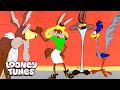 20 Minutes Of Wile E. Coyote Being A Hot Mess | Looney Tunes | @GenerationWB