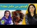How to Protect Home from Bedbug(Khatmal) Infestations? - Home Remidies - Aaj Pakistan