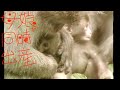 ばあちゃんが厳しいニホンザル😆母と娘が同時に子育て#子供の日 #母の日 Interesting mother and child of Japanese macaques #mothersday