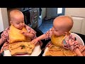 Funniest Battles of Twin Babies! Funny Babies Compilation