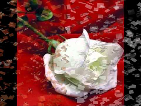 20 rosas download
