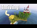 Thriving on Minecraft's Loneliest Island