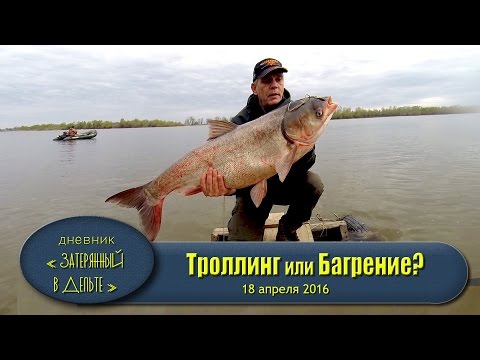 ловля толстолобика в апреле видео ловля толстолобика в апреле видео