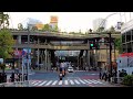 Tokyo Shibuya From Shinjuku,Harajuku,Omotesando - Driving tour[4K]