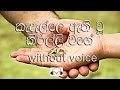 Kadelle Athiwu Kirilli Wage karaoke (without voice) කැදැල්ලෙ ඇති වූ කිරිල්ලී වගේ