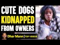 Cute DOGS KIDNAPPED From Owners, What Happens Is Shocking | Dhar Mann