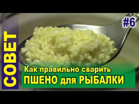 как правильно варить перловку на прикормку как правильно варить перловку на прикормку