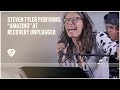 Steven Tyler performs "Amazing" at Recovery Unplugged