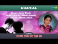 Kabhi Kaha Na Kisi Se | Ghazal Song | Asha Bhosle
