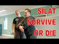 SURVIVE OR DIE SILAT