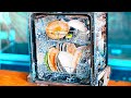 Transparent dishwasher - What’s happening inside?