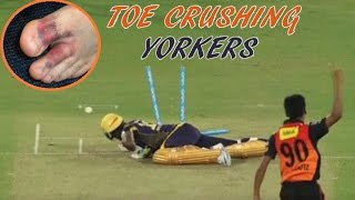 Top 10 Toe Crushing Yorkers in Cricket || Batsman Fall & Injured