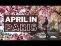 A Vlog of a Day in My Life in Paris (April Cherry Blossom Hunting)