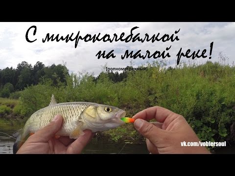 окунь на малых реках летом окунь на малых реках летом
