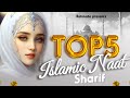 Naat Sharif | Top 5 Naat Sharif | New Naat Sharif | Nonstop Beautiful Naat Sharif | 2024 Naat Sharif