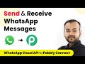 How to Send & Receive WhatsApp Messages via Pabbly Connect - WhatsApp Cloud API