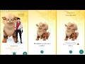 Pokemon go buddy system - get now