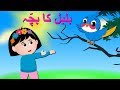 Bulbul Ka Bacha Urdu Poem | بلبل کا بچہ | Urdu Nursery Rhyme Collection for Babies