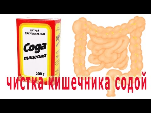 По отношению к воде все растения делятся По отношению к воде все растения делятся