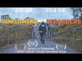 Sunflowers And Strangers - Short film