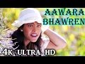 A R Rahman Hit Song - Aawara Bhawren Jo Hole Hole Gaaye, Kajol, Sapnay Song - 4K Ultra HD Video