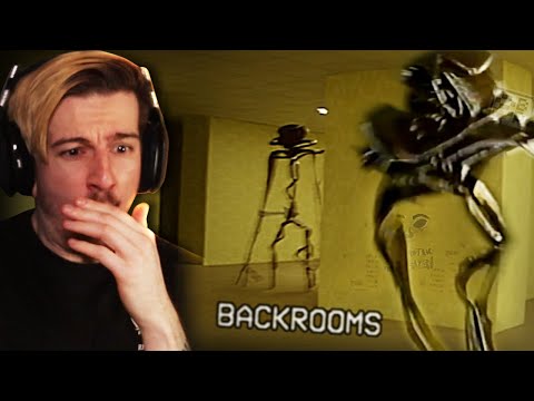 ONE OF THE SCARIEST VIDEOS I VE WATCHED. The Backrooms Found Footage REACTION