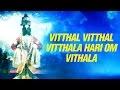 Vitthal Vitthal Vitthala Hari Om Vithala : विठ्ठल  विठ्ठला हरी ओम विठ्ठला : विठ्ठल | Vitthal Song